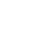 Business Village